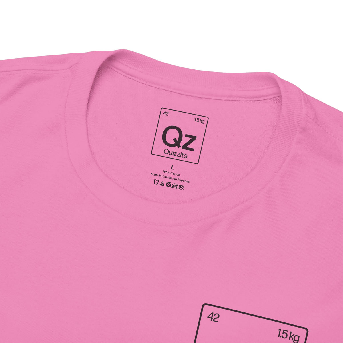 Quizzite Logo Unisex Heavy Cotton Tee